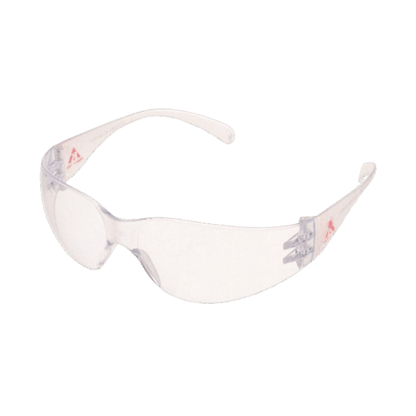 ES001 Karam Goggles Clear