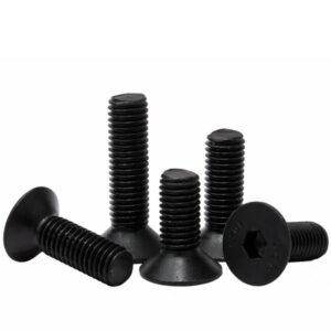 Countersunk Screw ( CSK ) M10